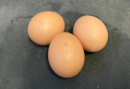 Scharrel Eieren